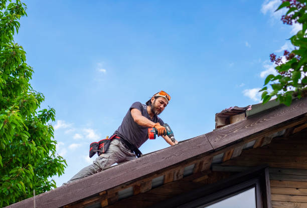 Best Roof Installation  in Iona, FL